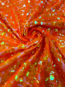 ROUND PALLETTE SEQUIN ON MESH FABRIC (By The Yard)