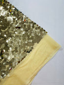 ROUND PALLETTE SEQUIN ON MESH FABRIC (By The Yard)