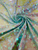 ROUND PALLETTE SEQUIN ON MESH FABRIC (By The Yard)