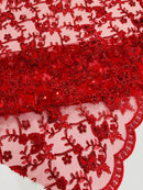 Corded Lace/ Butterfly Design Embroidered With Sequin on a Mesh Lace Fabric - New Creations Fabric & Foam Inc