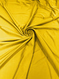 Shiny milliskin nylon spandex | New Creation Fabric & Foam - New Creations Fabric & Foam Inc